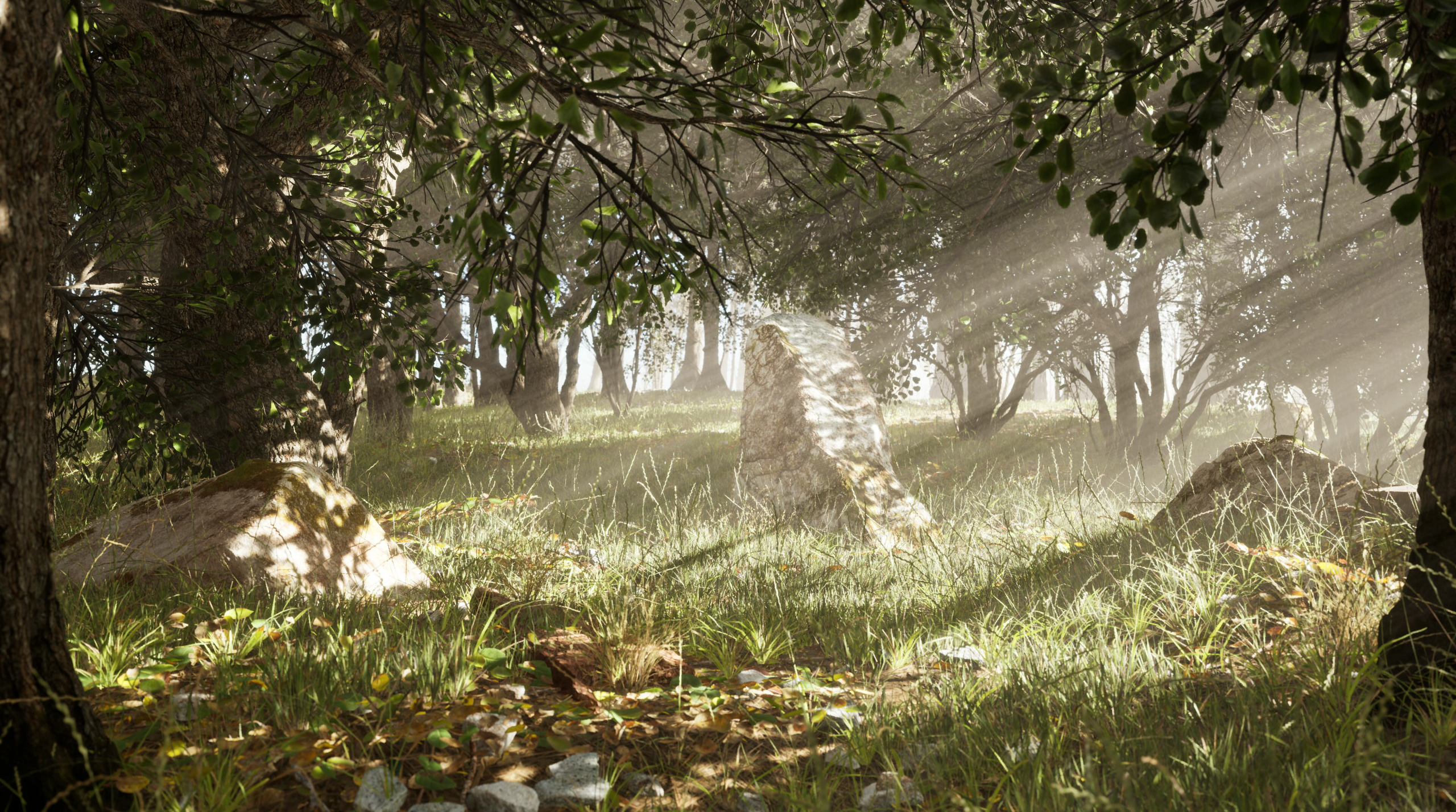 JainHarvey_ForestScene